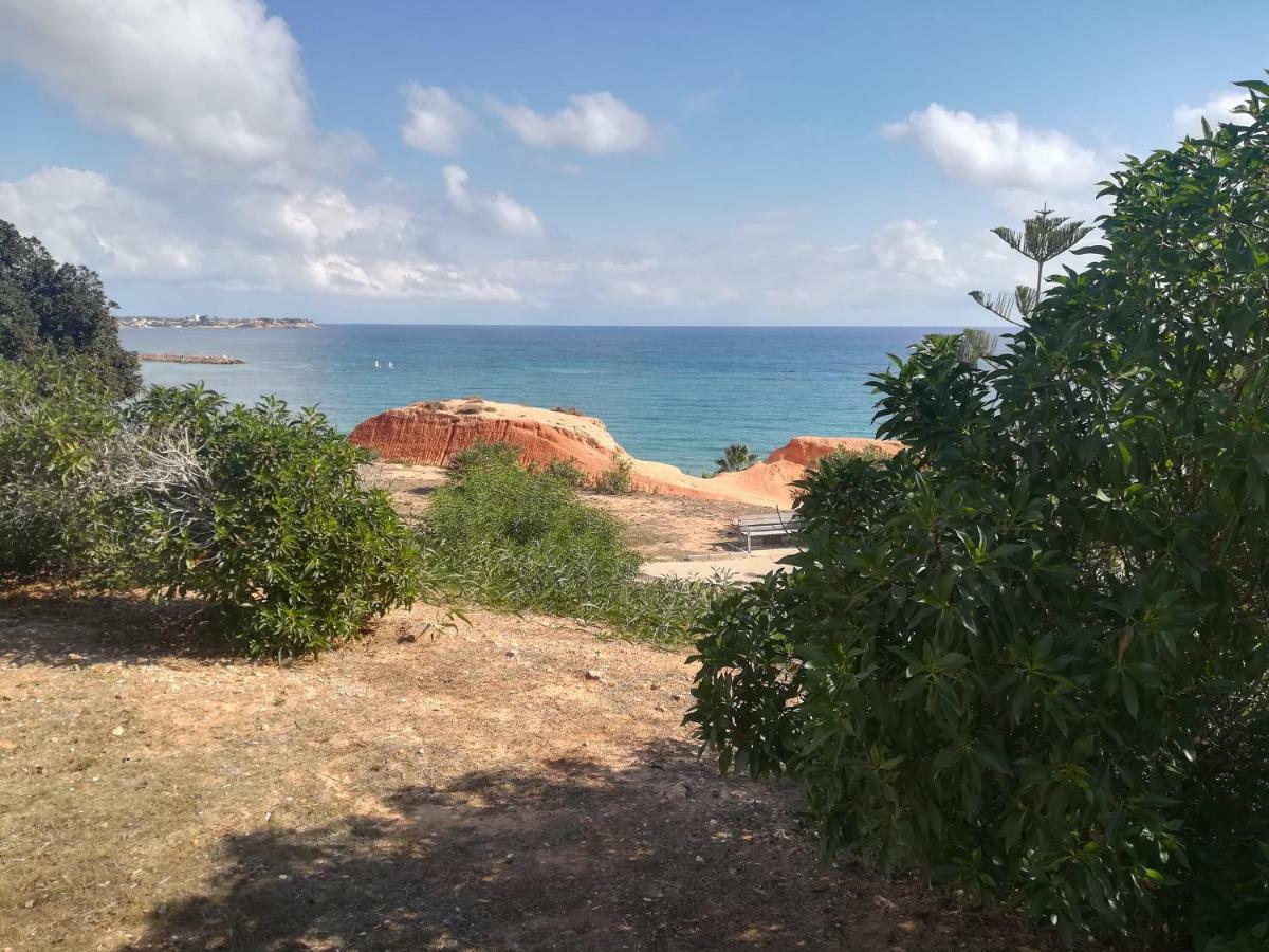 Cabo Roig Bellavista III Appartement Buitenkant foto